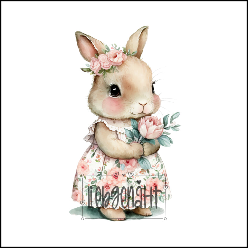 VORBESTELLUNG! Hase