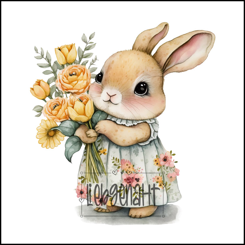 VORBESTELLUNG! Hase 5