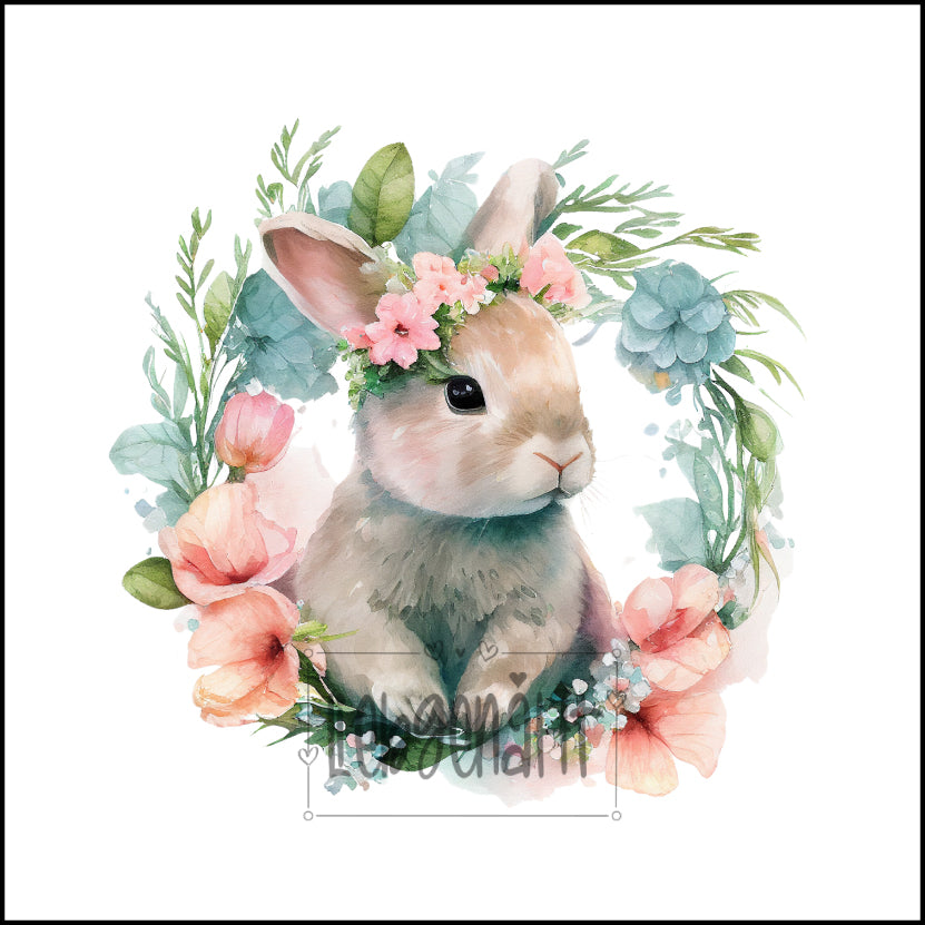 VORBESTELLUNG! Hase 16