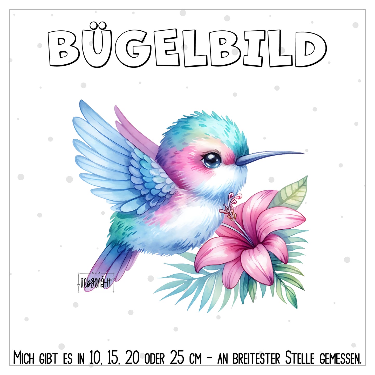 VORBESTELLUNG! Kolibri 3