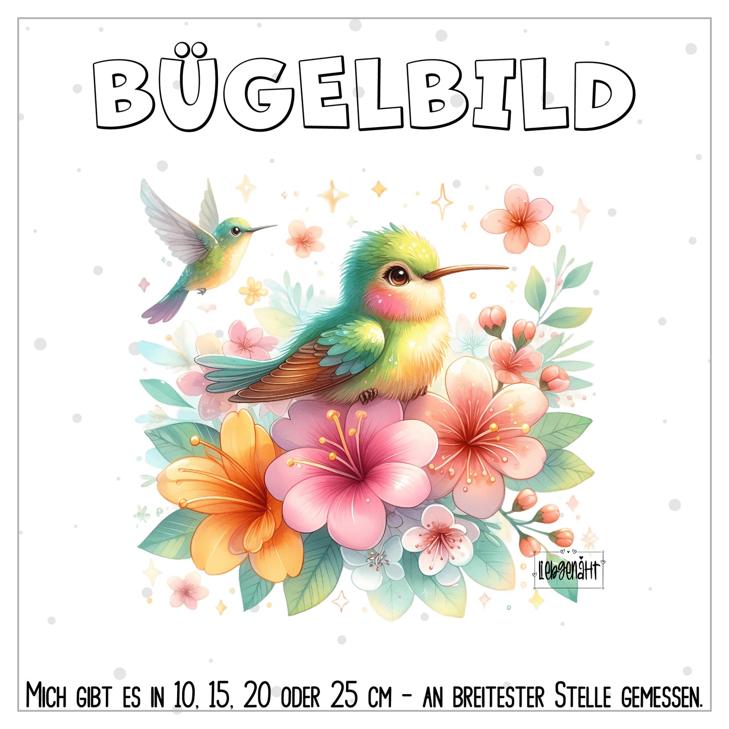 VORBESTELLUNG! Kolibri 6