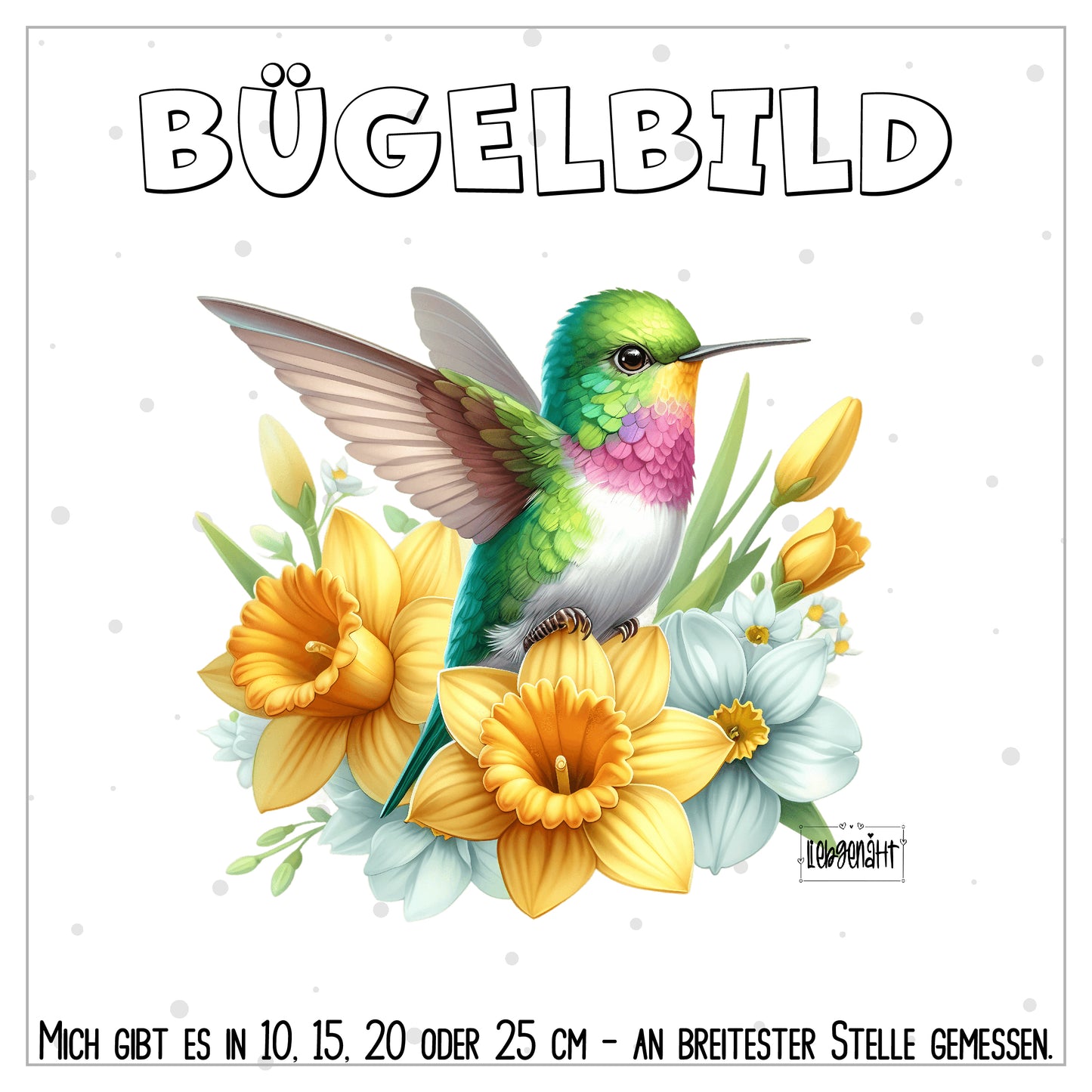 VORBESTELLUNG! Kolibri 8
