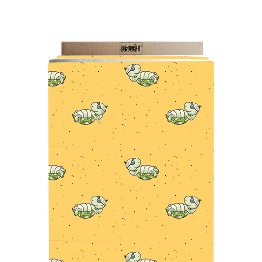 BADEMODE | VORBESTELLUNG | Schildkröte Floridasun