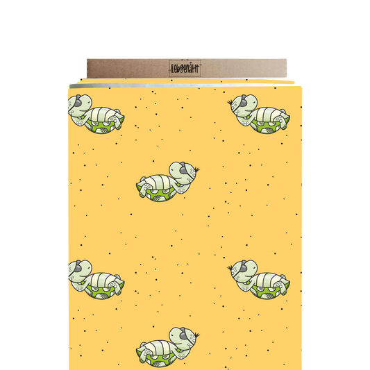 VORBESTELLUNG | CHILLKRÖTE FLORIDASUN | GROWIDESIGN