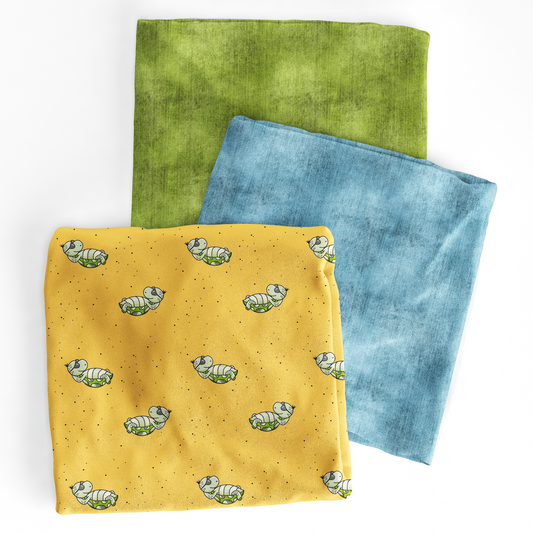 VORBESTELLUNG | CHILLKRÖTE FLORIDASUN | GROWIDESIGN