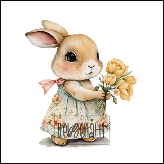 VORBESTELLUNG! Hase 6