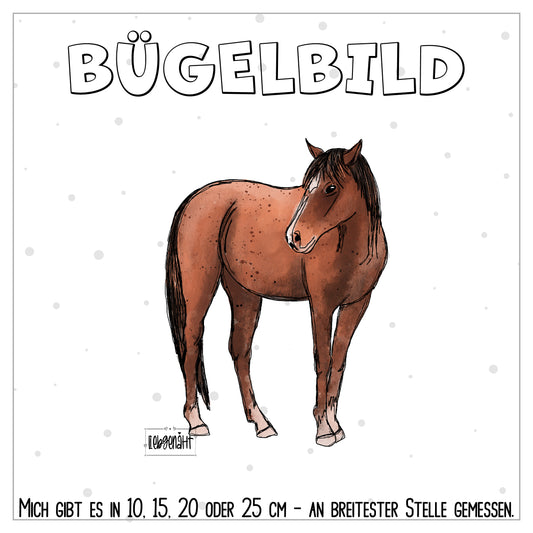 VORBESTELLUNG! Pferd - KATZENGOLD