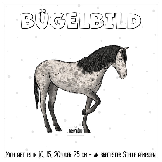 VORBESTELLUNG! Pferd - KATZENGOLD 3