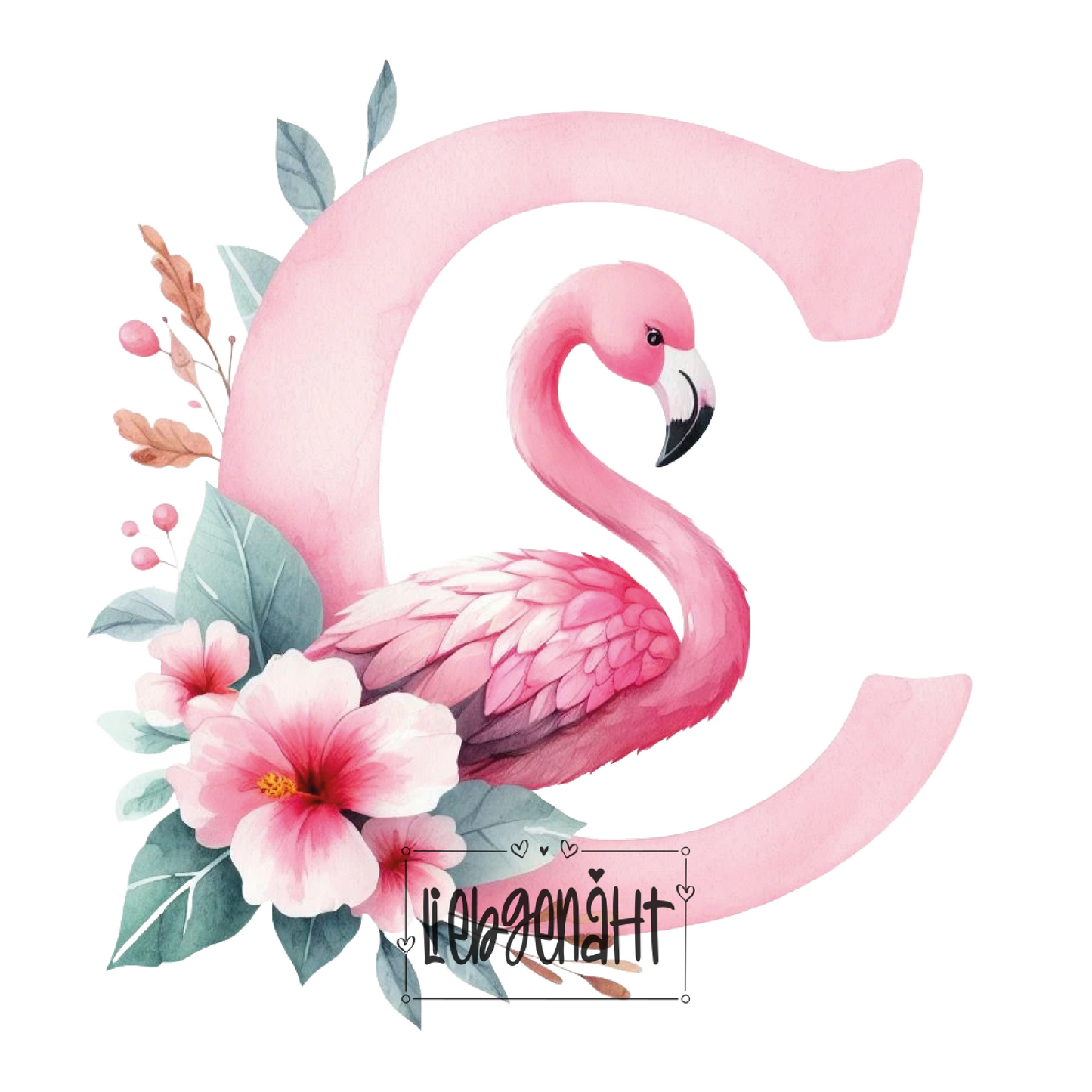 VORBESTELLUNG! - NORMAL - Alphabet Flamingo