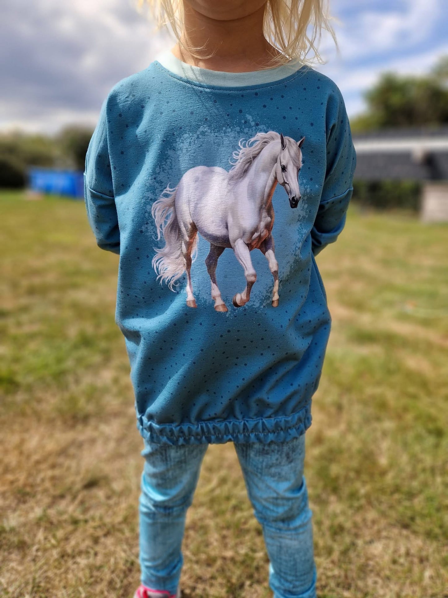 VORBESTELLUNG | PFERD AUF BLAU | PFERDE SERIE